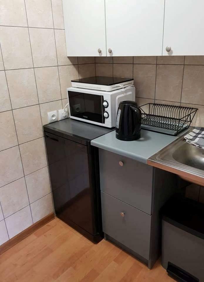 Karoso Apartment Klaipėda Dış mekan fotoğraf